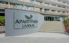 Lividus Czarna Mewa